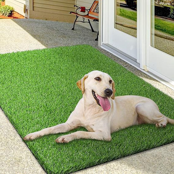 Artificial Grass Pee Pad