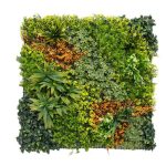 Artificial Vertical Garden