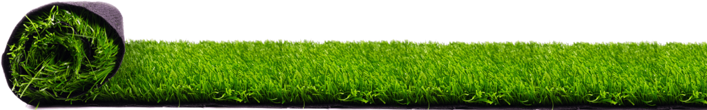 Home - certificate bg