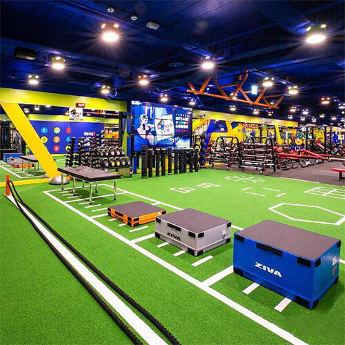 Synthetic Turf For Fitness Club