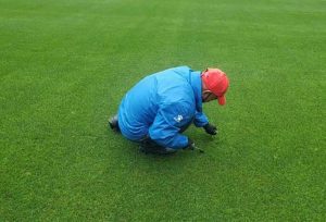 Different Seasonal Care