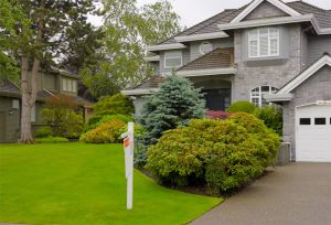 artificial grass in garden