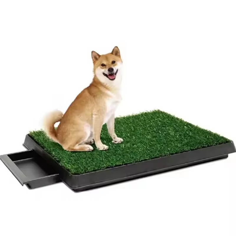 TURFILY Pet Grass 2