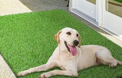 Artificial Grass Pad 1